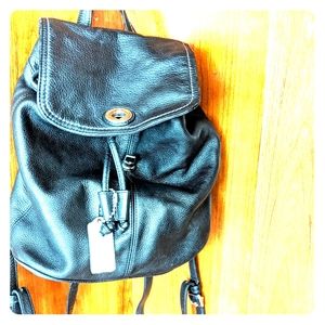 Mini Coach backpack